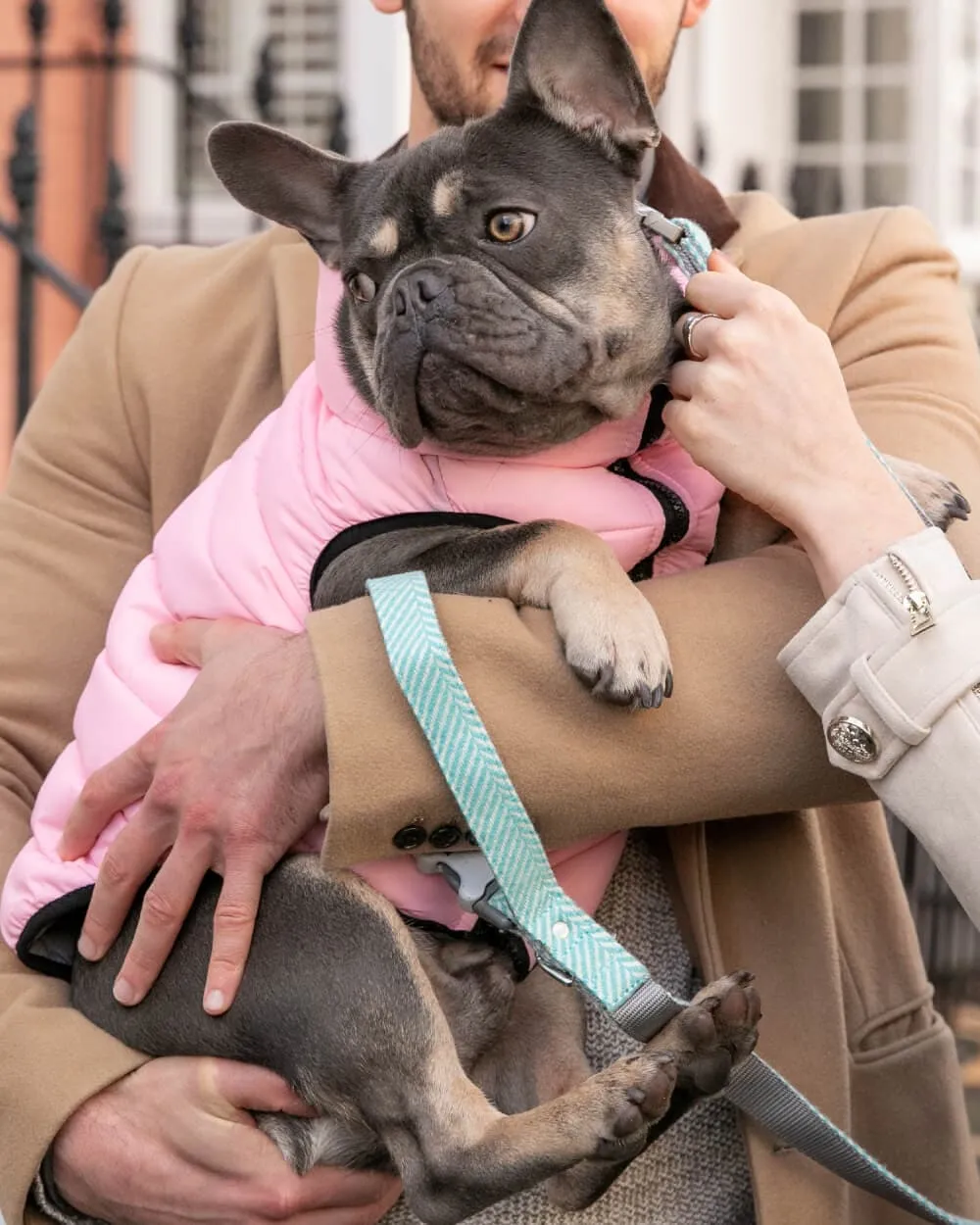 Aqua Herringbone Dog Leash