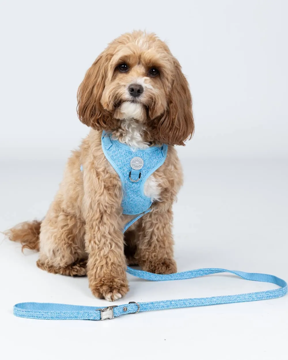 Blue Tweed Luxury Dog Lead