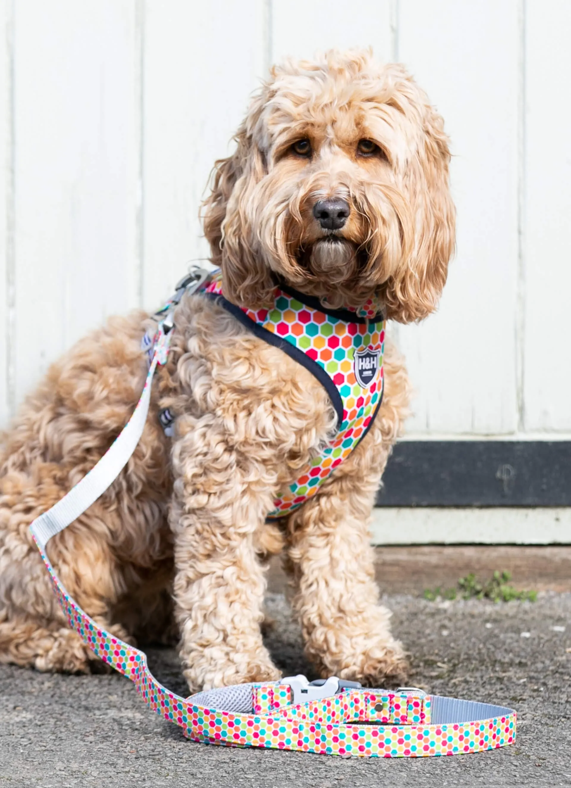 Geometric Multicolour Fabric Dog Lead