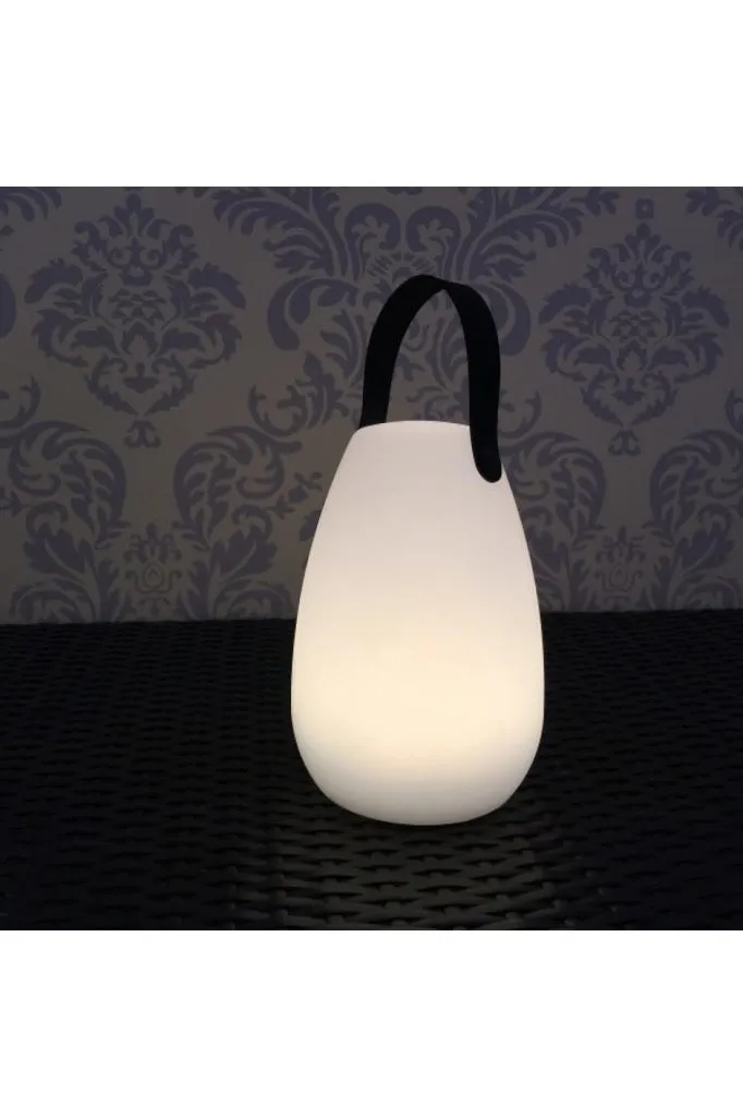 LED Table Lamp with Handle - Ll