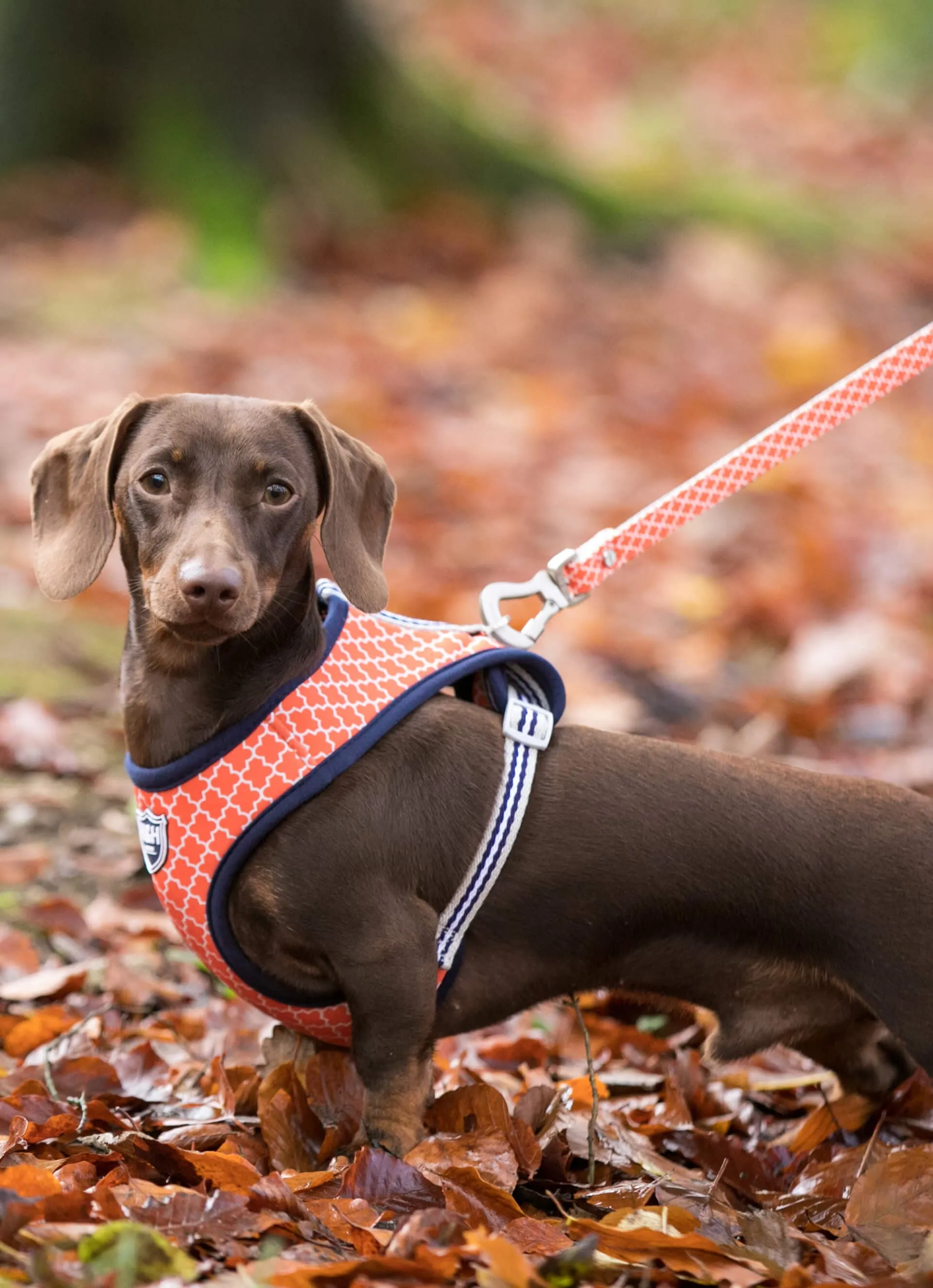 Orange Geometric Fabric Dog Lead