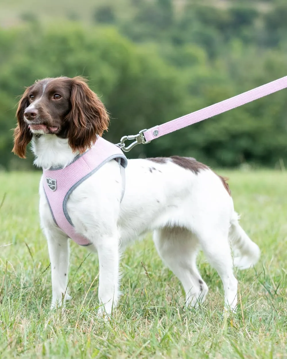 Pink Herringbone Dog Lead