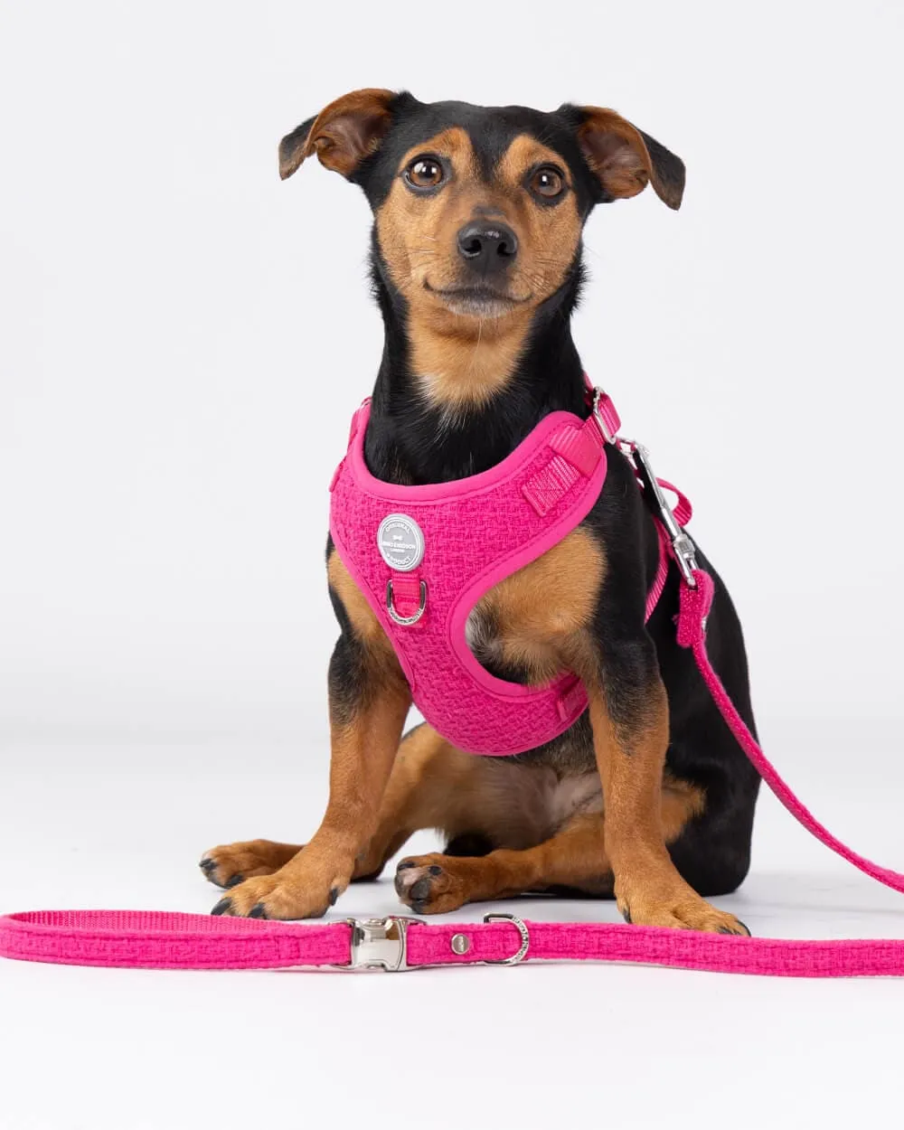 Pink Tweed Dog Lead