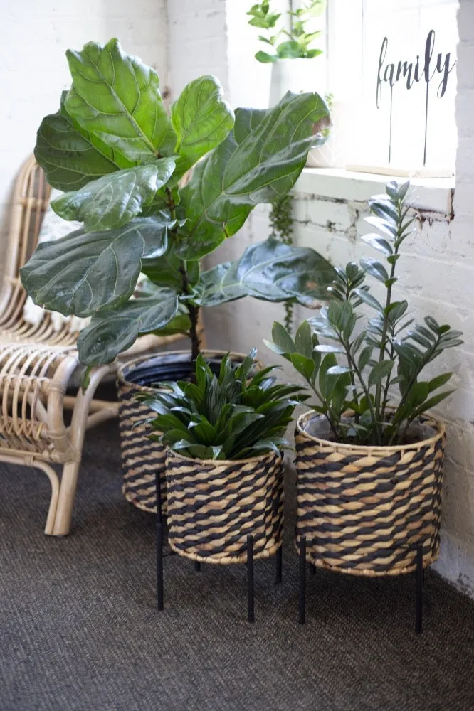 Plant Basket on Metal Stand - Lined, Available Now.