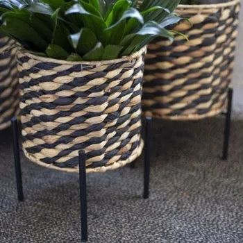 Plant Basket on Metal Stand - Lined, Available Now.