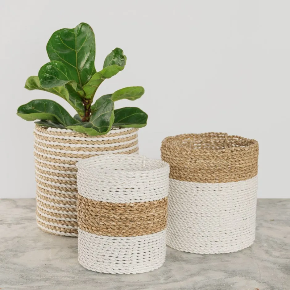 Plant Basket White Natural - Shop Now!