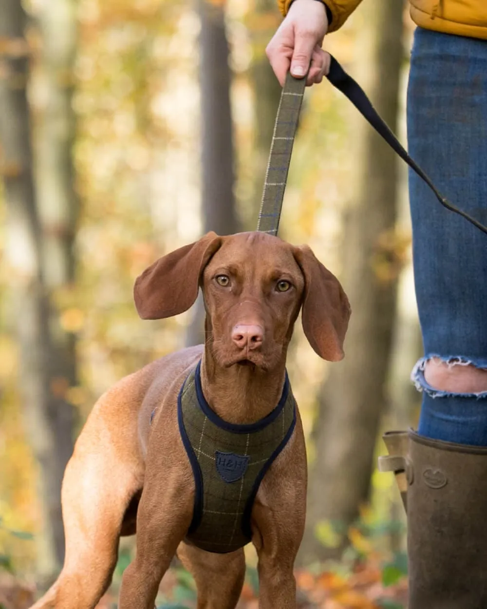 Tweed Dog Leash - Dark Green Checkered