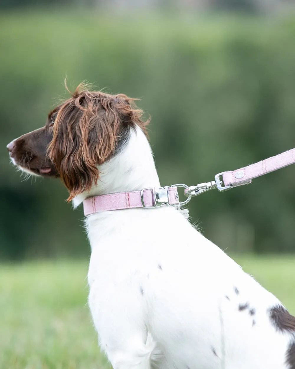 Tweed Dog Leash - Pink Check