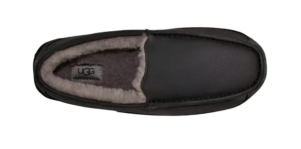 UGG ASCOT MEN'S